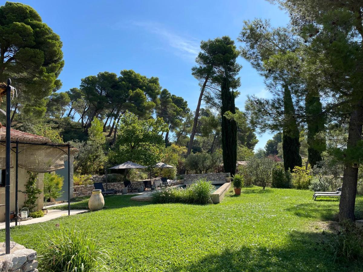 Le Mas Angelou Maussane les Alpilles Luaran gambar