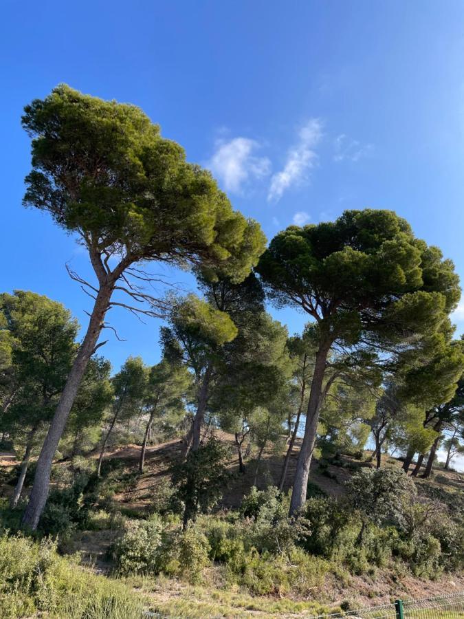 Le Mas Angelou Maussane les Alpilles Luaran gambar