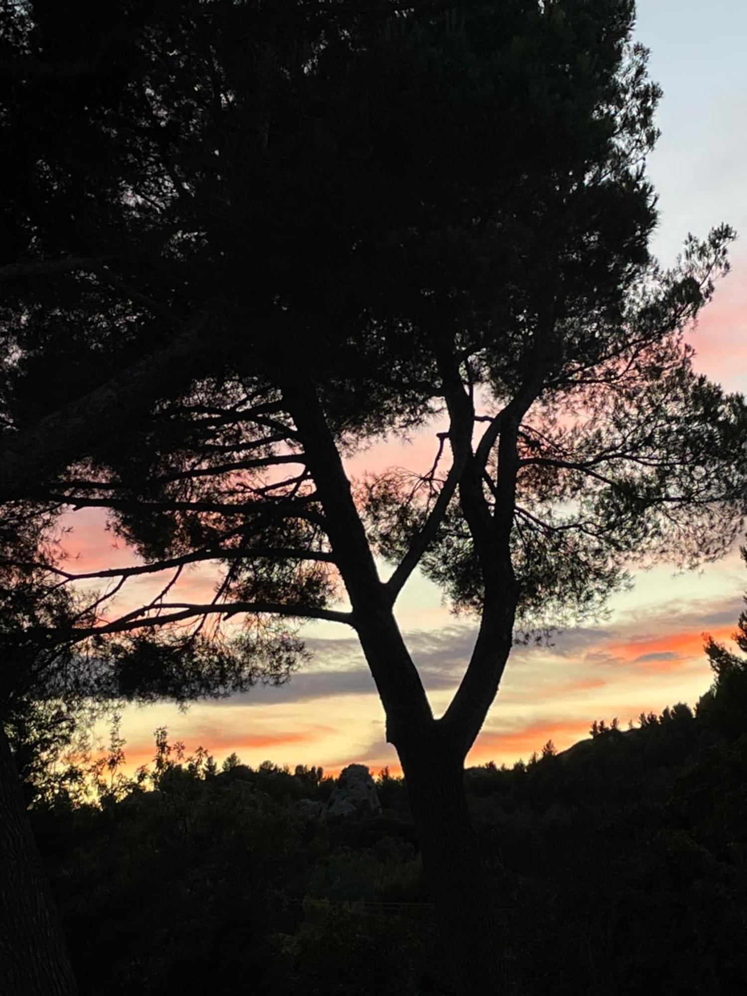 Le Mas Angelou Maussane les Alpilles Luaran gambar